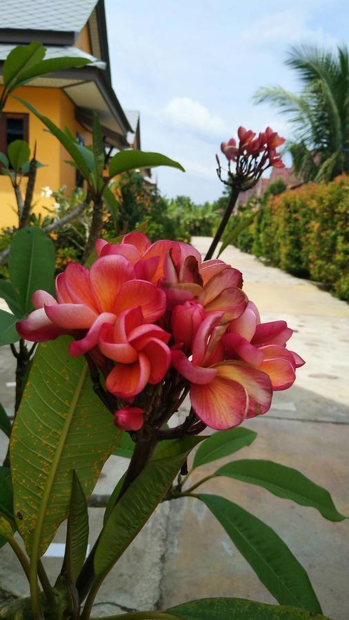Baan Mek Lom Hotell Khao Lak Exteriör bild